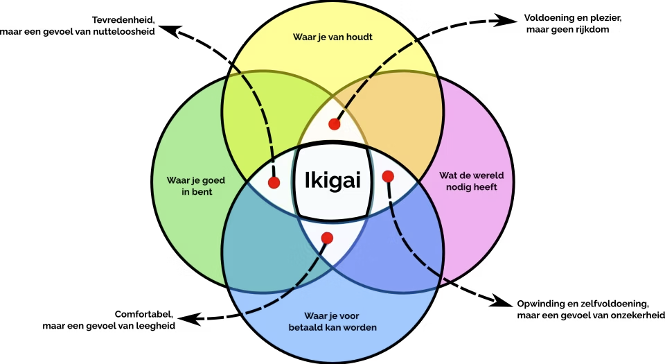 Vind je passie en ontwikkel je bedrijf met de kracht van Ikigai